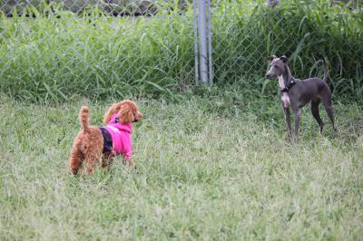 IMG_4608_convert_20120925150318.jpg