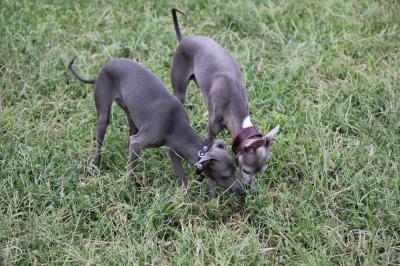IMG_4611_convert_20120925150430.jpg