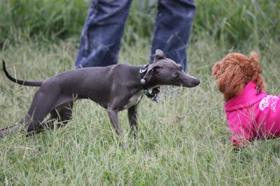 IMG_4613_convert_20120925150407.jpg