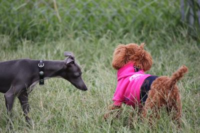 IMG_4614_convert_20120925150453.jpg