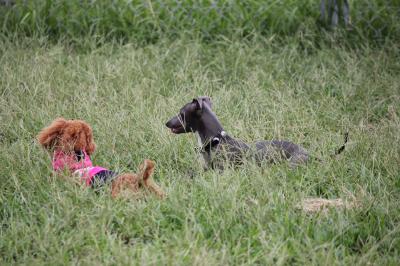 IMG_4622_convert_20120925150524.jpg