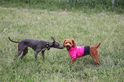 IMG_4626_convert_20120925150554.jpg