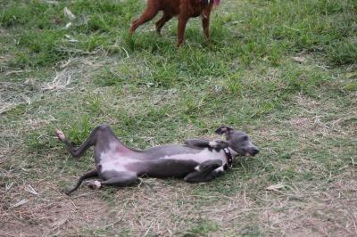 IMG_4636_convert_20120925150714.jpg