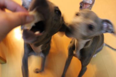 IMG_4814_convert_20121006003313.jpg