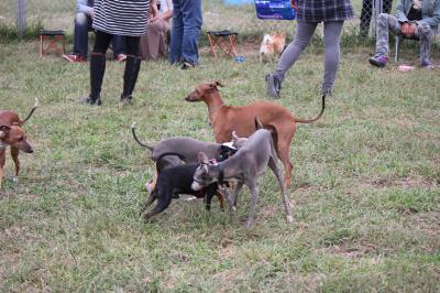 IMG_4827_convert_20121009224103.jpg