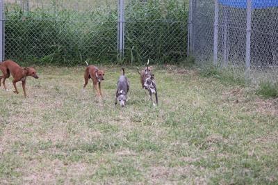 IMG_4829_convert_20121009224245.jpg