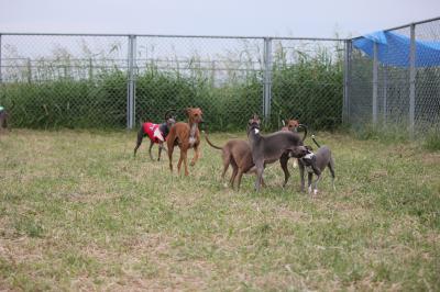 IMG_4832_convert_20121010095519.jpg