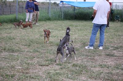 IMG_4865_convert_20121010095633.jpg