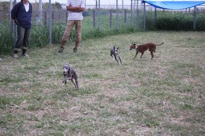 IMG_4880_convert_20121010095737.jpg