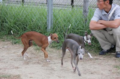 IMG_4882_convert_20121010095826.jpg
