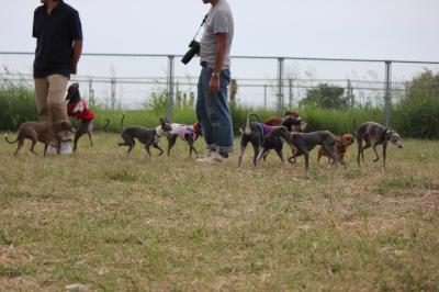 IMG_4902_convert_20121010085808.jpg