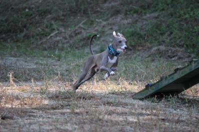 IMG_5306_convert_20121023082800.jpg