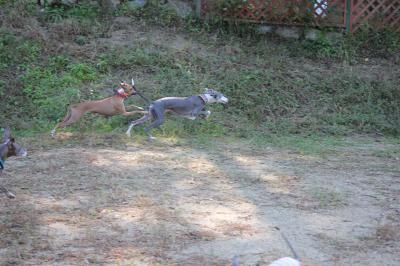 IMG_5358_convert_20121023083434.jpg
