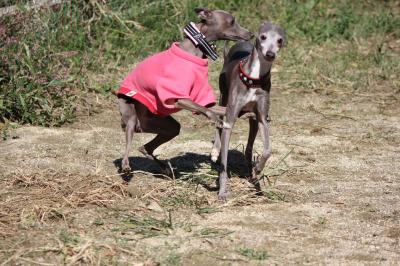 IMG_5407_convert_20121023110841.jpg