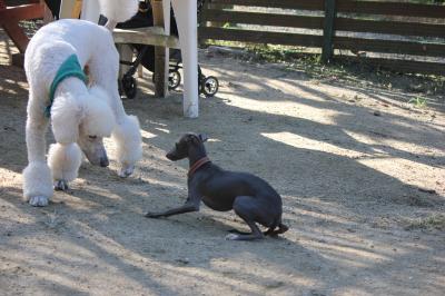 IMG_5555_convert_20121023224831.jpg