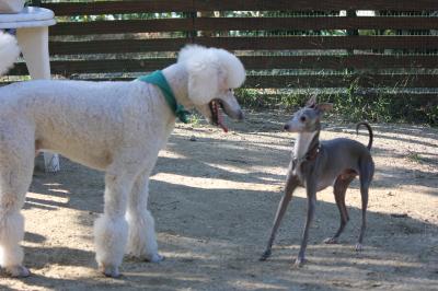 IMG_5558_convert_20121023224949.jpg