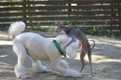 IMG_5560_convert_20121023225016.jpg