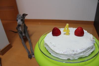 IMG_5669_convert_20121029091452.jpg