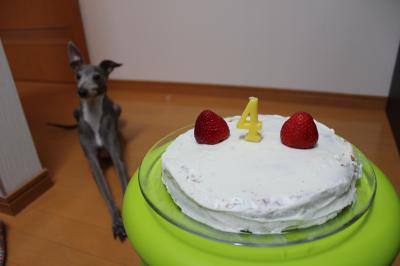 IMG_5673_convert_20121029091537.jpg