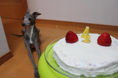 IMG_5675_convert_20121029091616.jpg