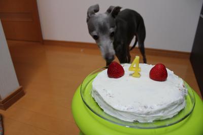 IMG_5676_convert_20121029091703.jpg