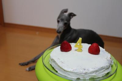 IMG_5678_convert_20121029091849.jpg