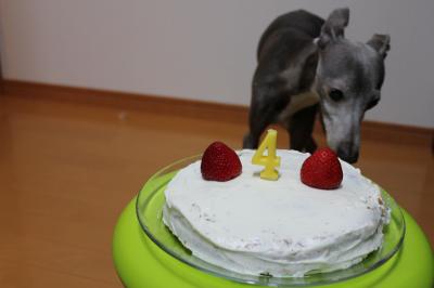 IMG_5680_convert_20121029091936.jpg