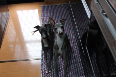 IMG_5760_convert_20121102203223.jpg
