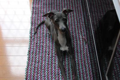 IMG_5761_convert_20121102203316.jpg