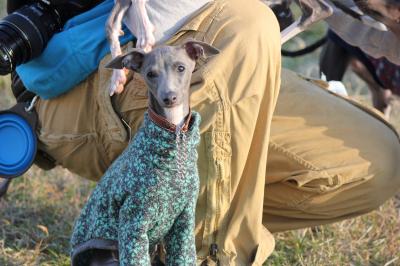 IMG_5834_convert_20121104210335.jpg
