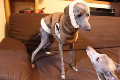 IMG_5862_convert_20121105215548.jpg