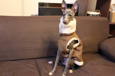 IMG_5868_convert_20121105220030.jpg