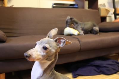 IMG_5968_convert_20121117103258.jpg