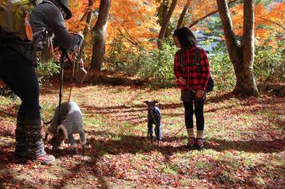 IMG_6185_convert_20121126192414.jpg