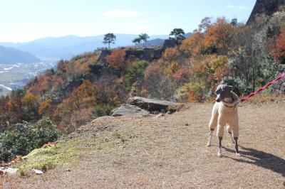 IMG_6228_convert_20121130005042.jpg