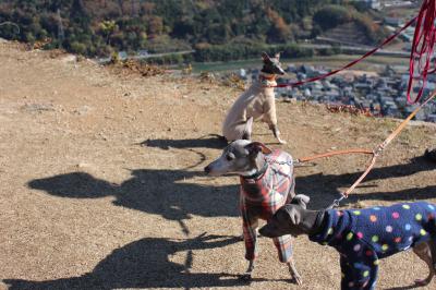 IMG_6240_convert_20121130005147.jpg
