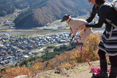 IMG_6251_convert_20121129110454.jpg