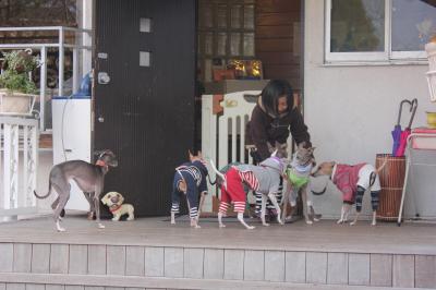 IMG_6751_convert_20121225005256.jpg