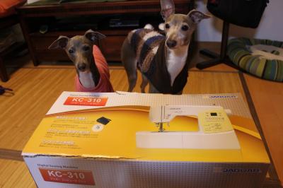 IMG_6819_convert_20130105213557.jpg