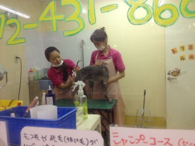 fc2blog_201206201740346da.jpg
