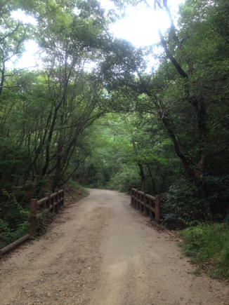 fc2blog_20120729182840bf0.jpg