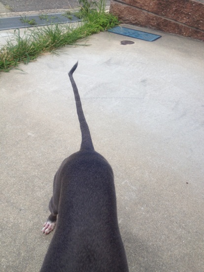 fc2blog_2012081620521413c.jpg