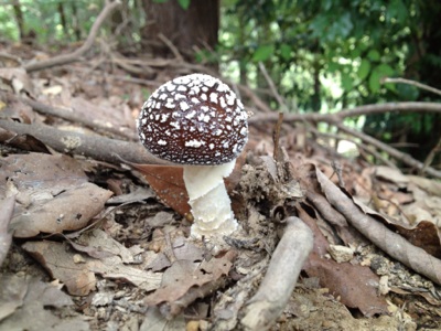 fc2blog_201209300206212fa.jpg