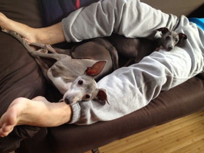 fc2blog_201210270755270f1.jpg