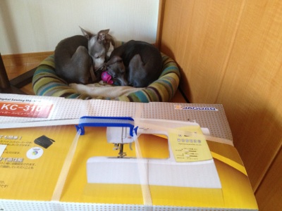 fc2blog_201211231006516c9.jpg