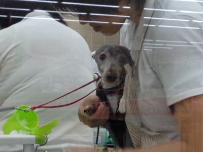 fc2blog_20121230213415beb.jpg
