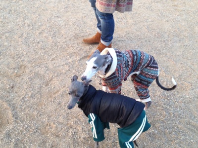 fc2blog_20130115210202a2d.jpg