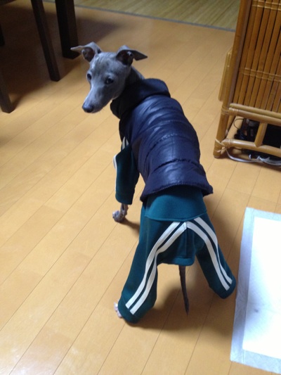 fc2blog_20130115210241928.jpg