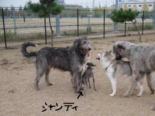 snap_epinshantidadia_201210074946.jpg