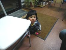 ナウでヤングな大人の為の心理学